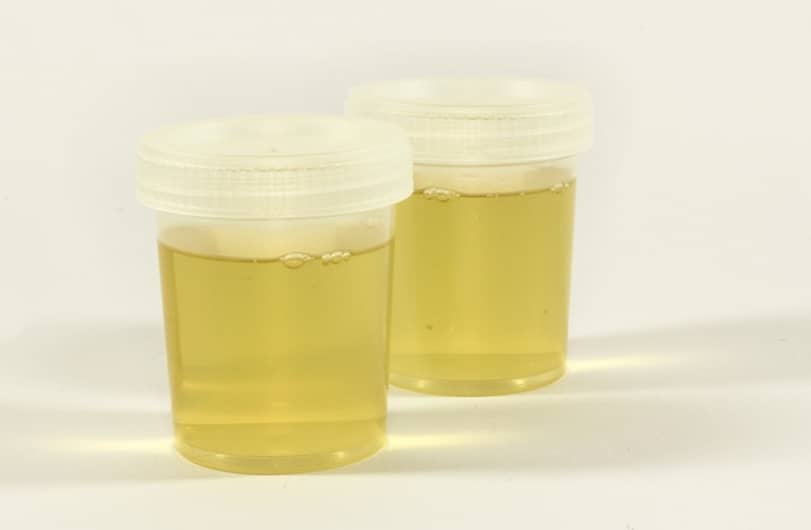best synthetic urine