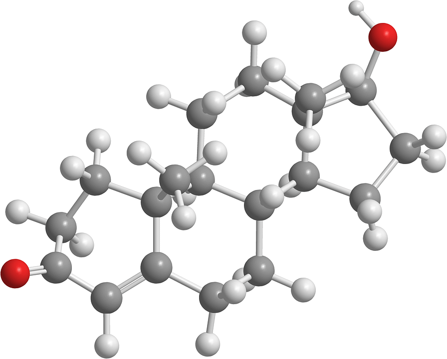 testosterone